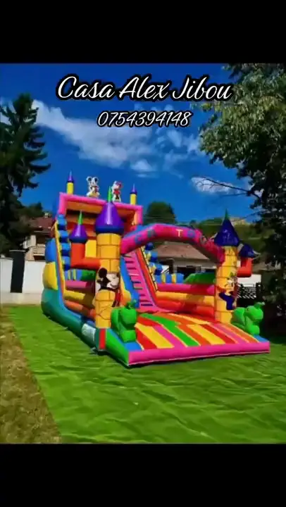 Prezentarea Casei Alex: piscina, camerele, livingul și curtea